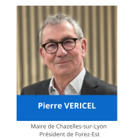 PierreVERICEL (2)